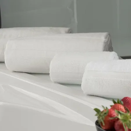Sercotel Alameda 41 Hotel Walencja